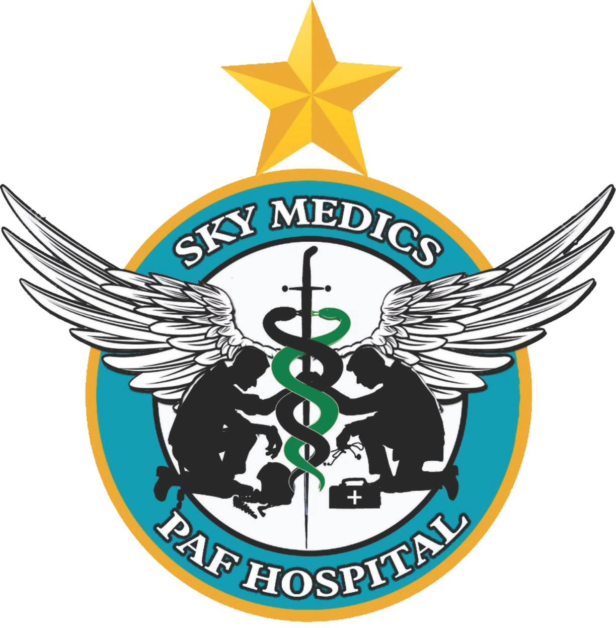 PAF Hospital Logo